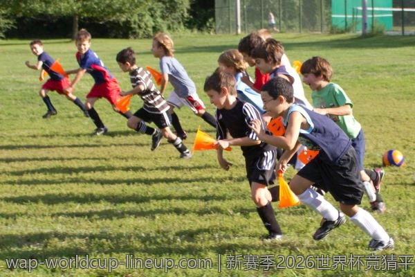 新赛季2026世界杯竞猜平台，哪个适合你的需求？