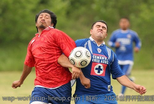 解析：2026世界杯数据观察APP如何提升数据观察体验